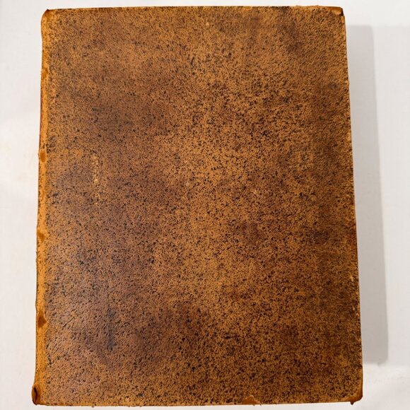 Luthers Sämtliche Schriften I. Auslegung Des Alten Testaments I. 1880 HC German - Picture 4 of 16